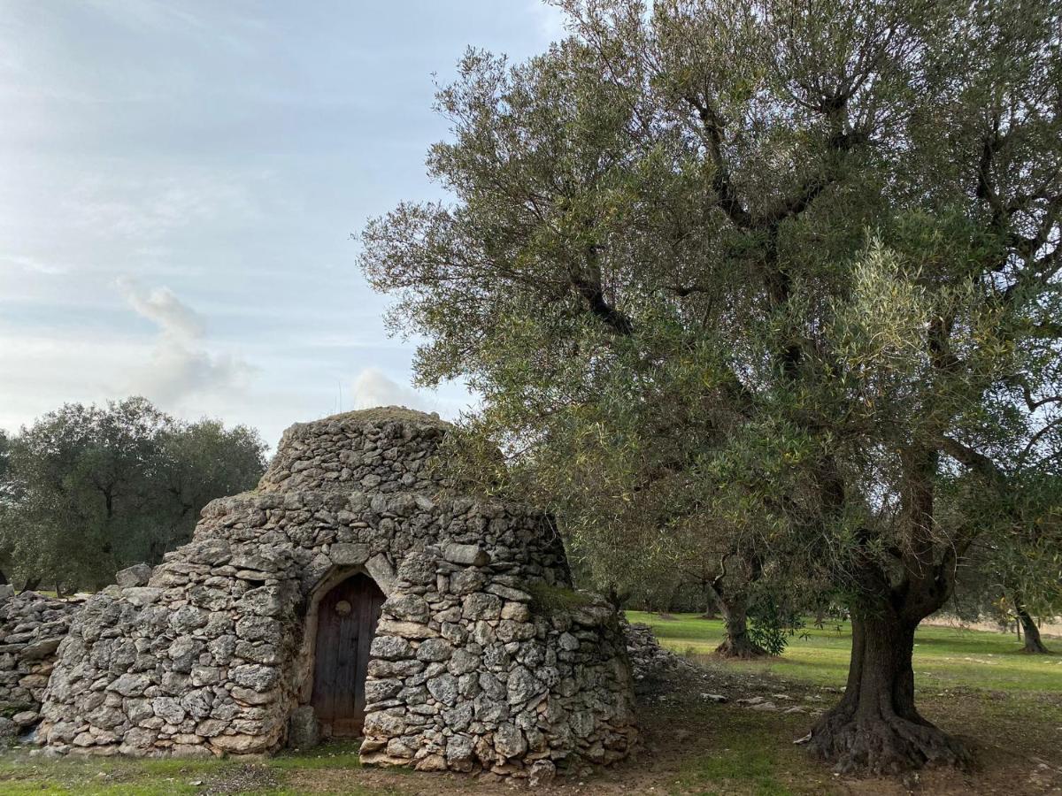 Casa Vacanze Lisa Torre Ovo Bagian luar foto