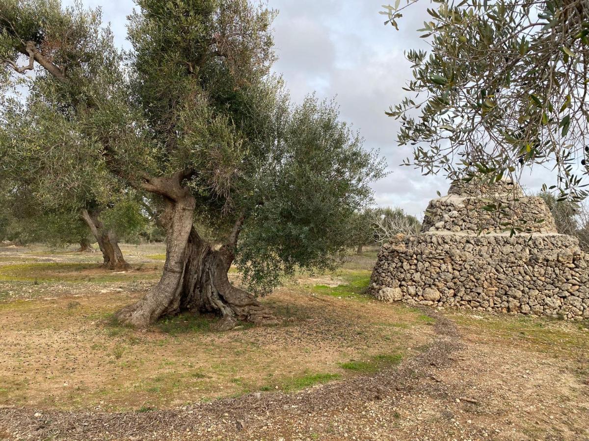 Casa Vacanze Lisa Torre Ovo Bagian luar foto