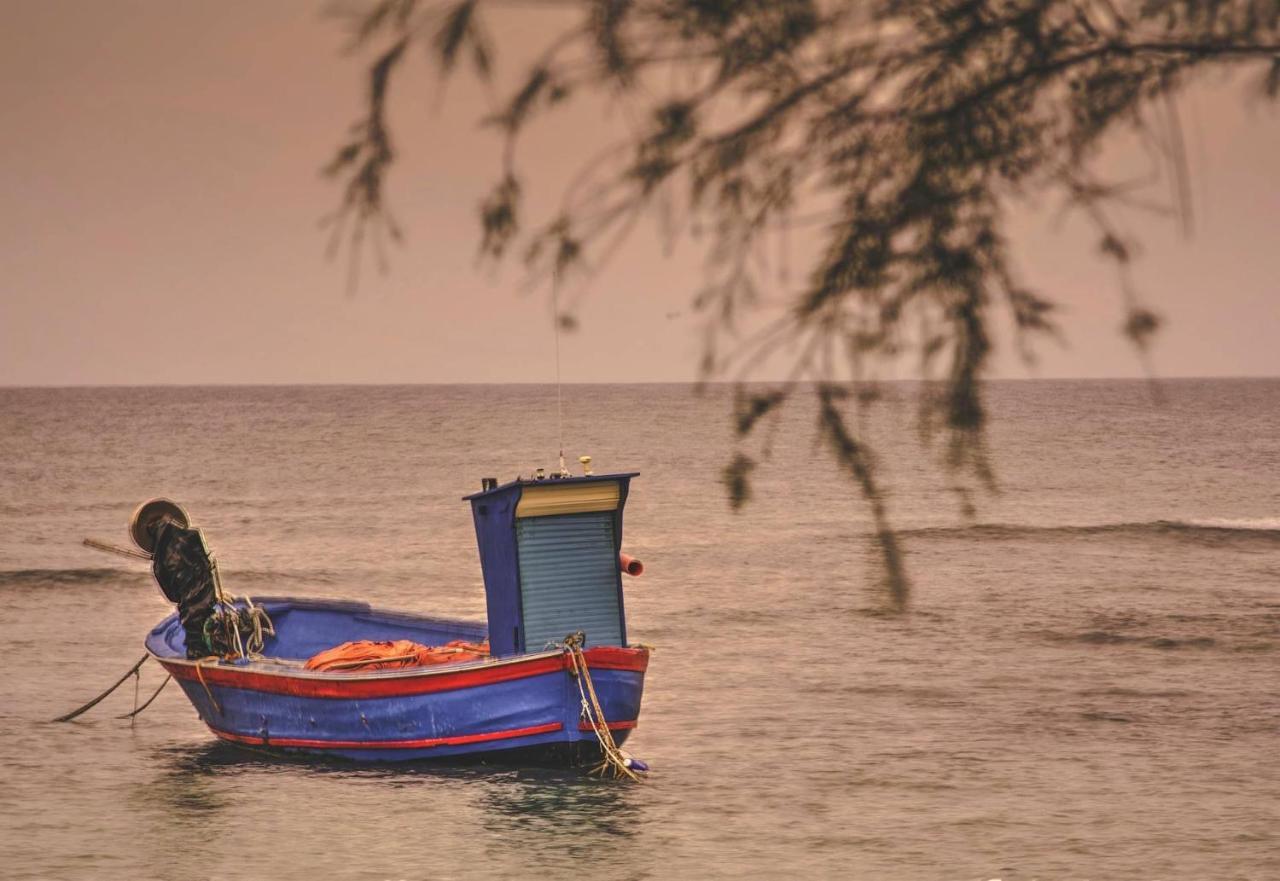 Casa Vacanze Lisa Torre Ovo Bagian luar foto